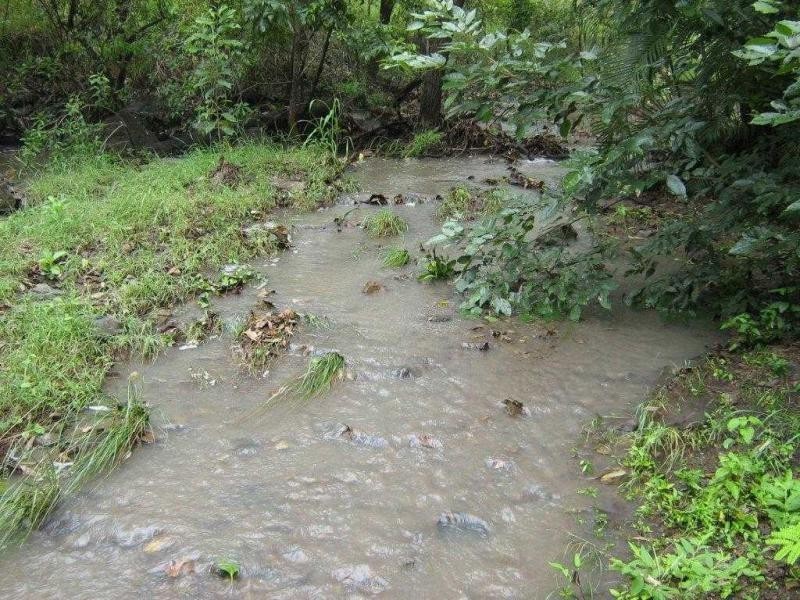 9 Mt Cradle Court, Alligator Creek QLD 4816