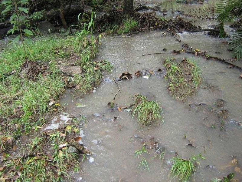 9 Mt Cradle Court, Alligator Creek QLD 4816