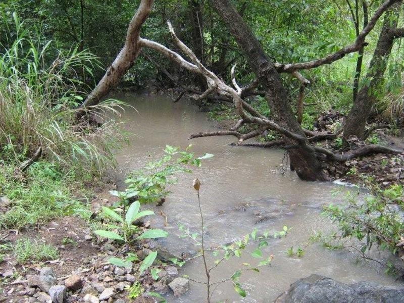 9 Mt Cradle Court, Alligator Creek QLD 4816