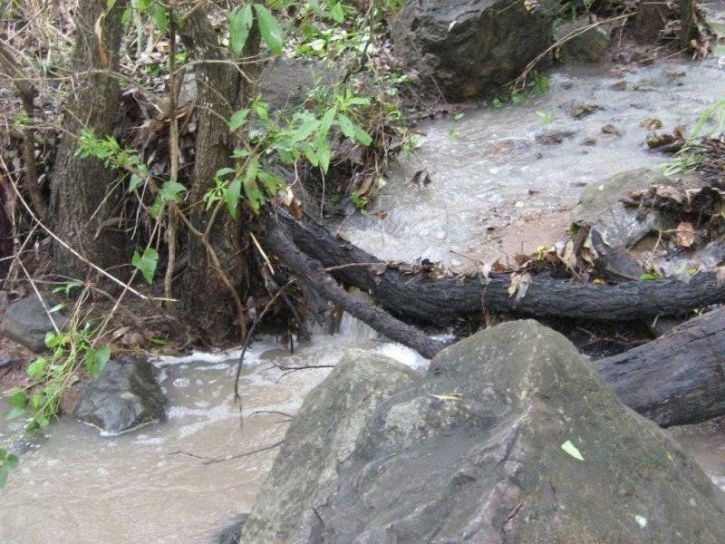 9 Mt Cradle Court, Alligator Creek QLD 4816