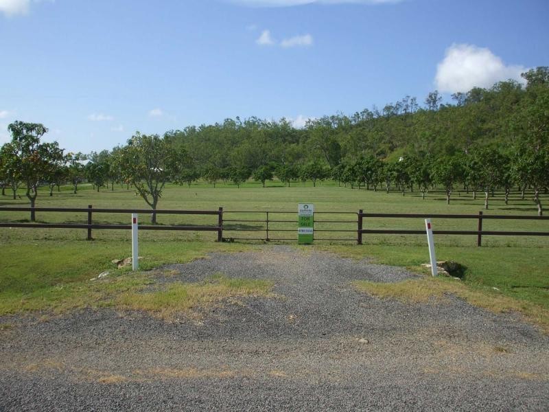 Alligator Creek QLD 4816