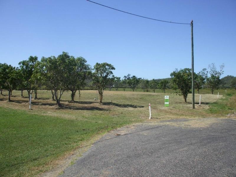 Alligator Creek QLD 4816