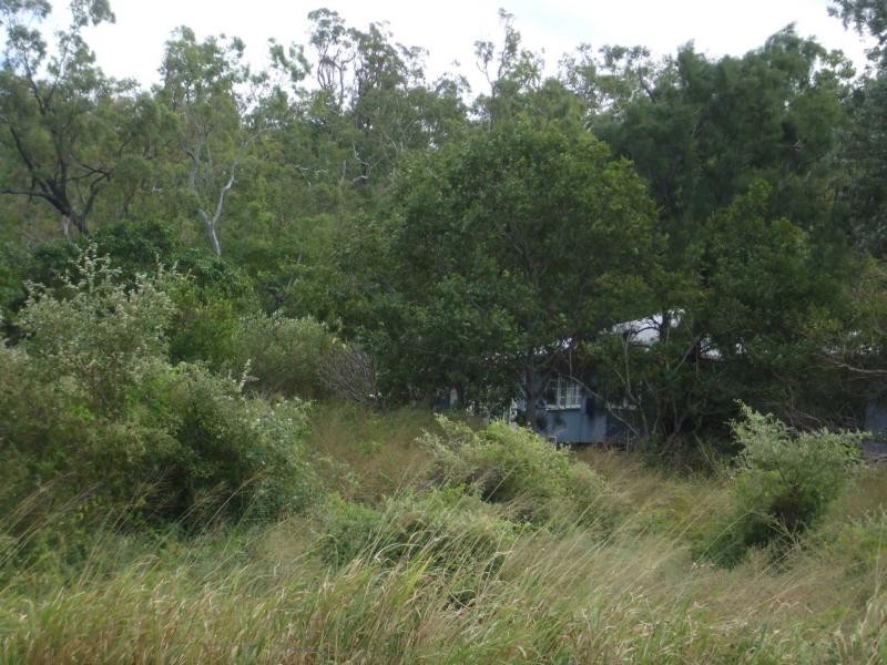 Alligator Creek QLD 4816