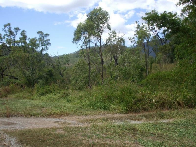 Alligator Creek QLD 4816