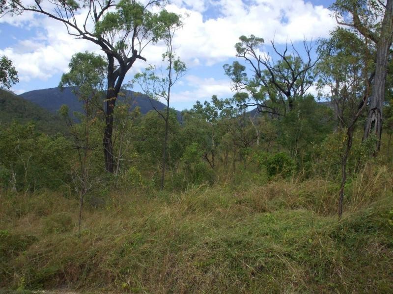 Alligator Creek QLD 4816