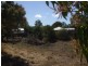 Alligator Creek QLD 4816