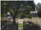 Alligator Creek QLD 4816