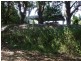 Cromarty QLD 4809