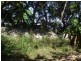 Cromarty QLD 4809