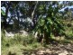 Cromarty QLD 4809