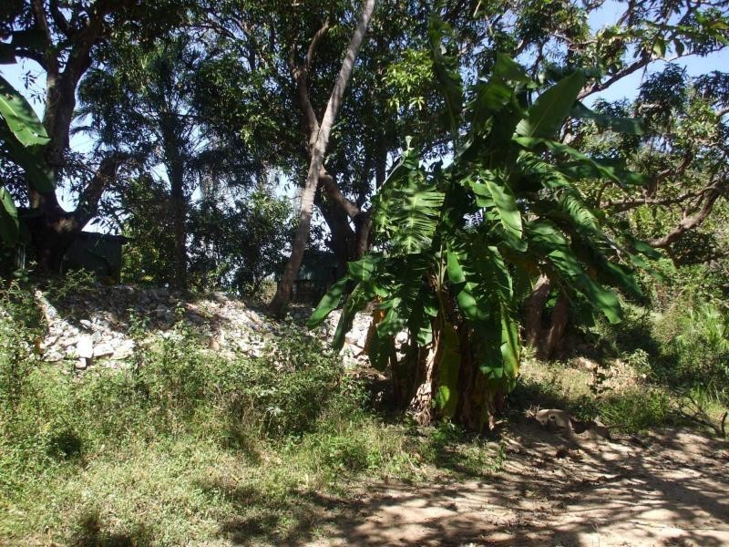 Cromarty QLD 4809