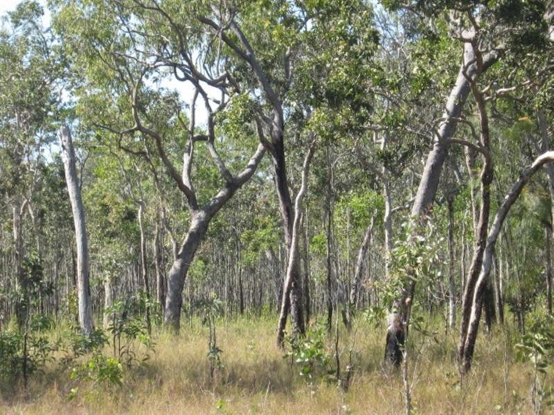 Bluewater Park QLD 4818