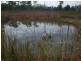 Majors Creek QLD 4816