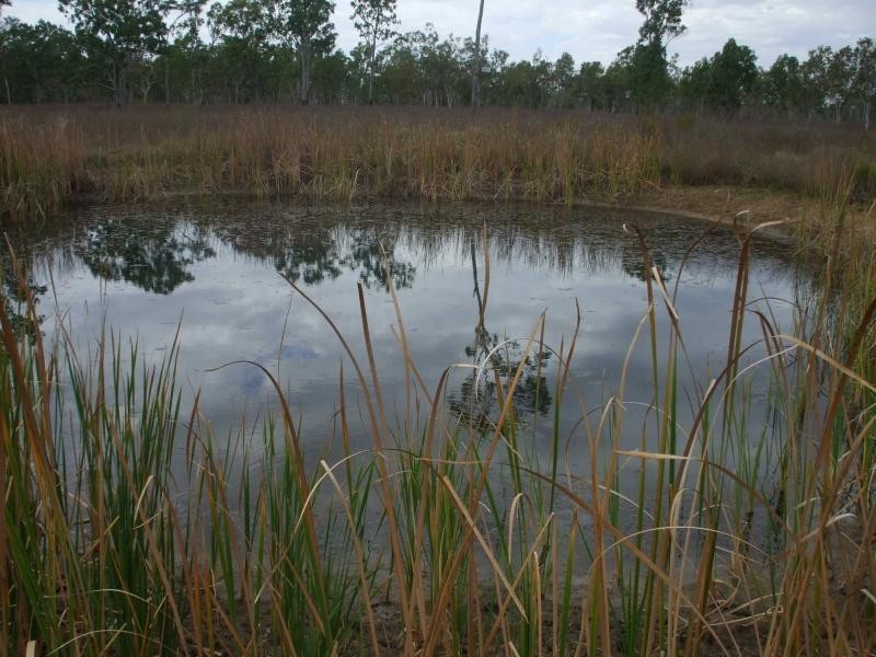 Majors Creek QLD 4816
