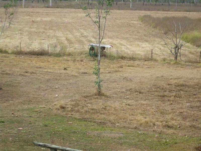 Majors Creek QLD 4816