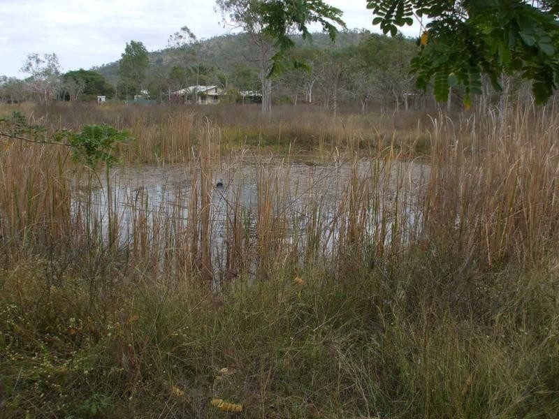 Majors Creek QLD 4816