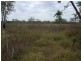 Majors Creek QLD 4816