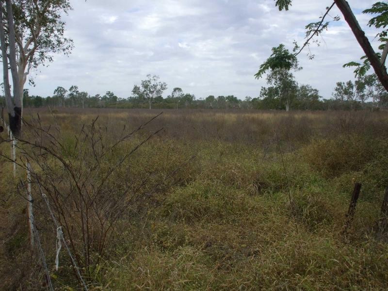 Majors Creek QLD 4816