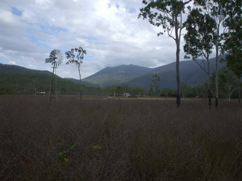 Majors Creek QLD 4816