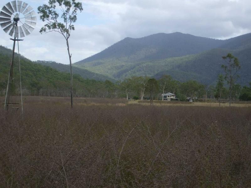 Majors Creek QLD 4816