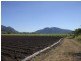 Mount Surround QLD 4809