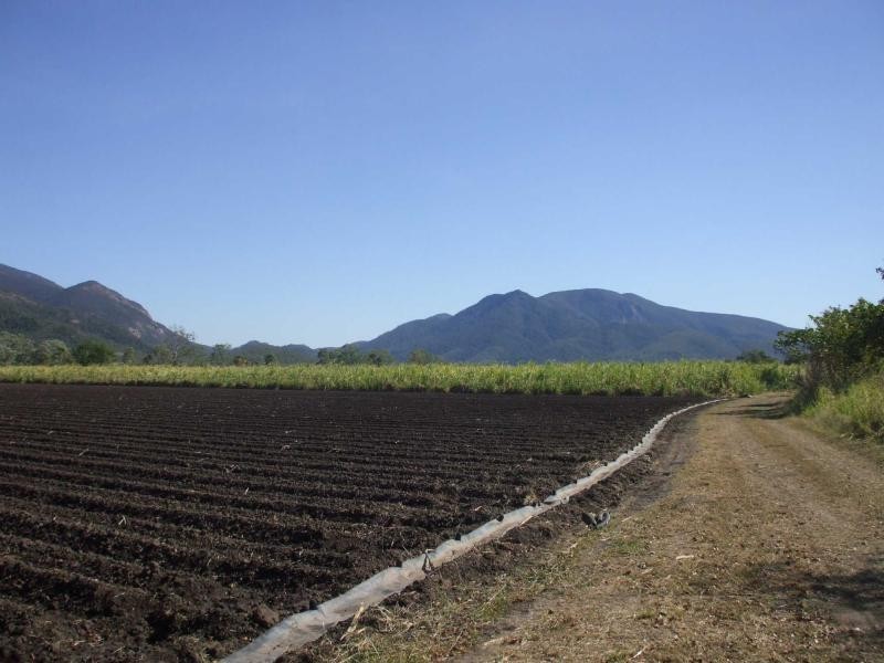 Mount Surround QLD 4809