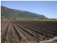 Mount Surround QLD 4809