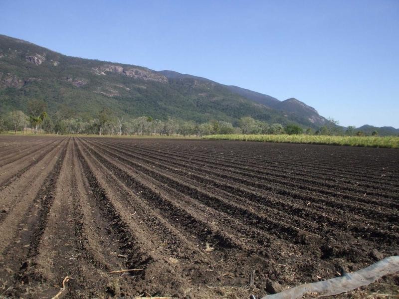 Mount Surround QLD 4809
