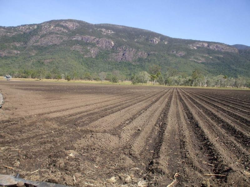 Mount Surround QLD 4809