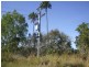 Mount Surround QLD 4809