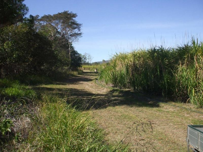 Mount Surround QLD 4809