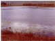 Majors Creek QLD 4816