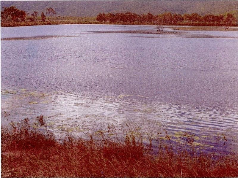 Majors Creek QLD 4816