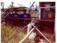 Majors Creek QLD 4816