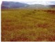 Majors Creek QLD 4816