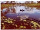 Majors Creek QLD 4816