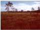 Majors Creek QLD 4816