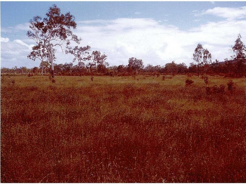 Majors Creek QLD 4816