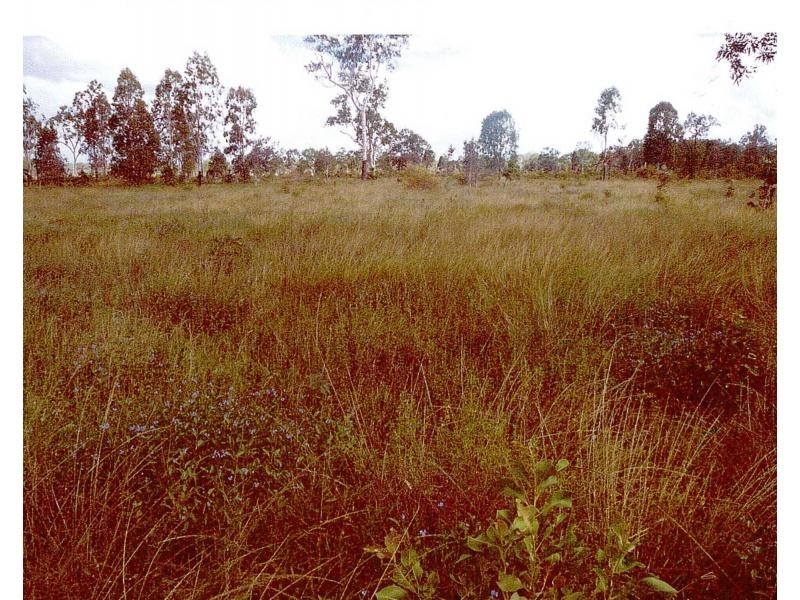 Majors Creek QLD 4816
