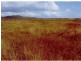 Majors Creek QLD 4816