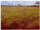 Majors Creek QLD 4816