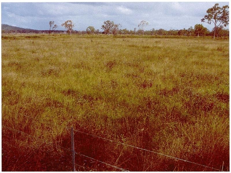 Majors Creek QLD 4816