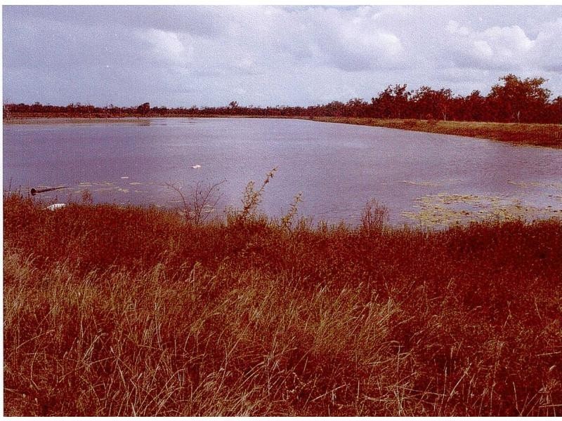 Majors Creek QLD 4816