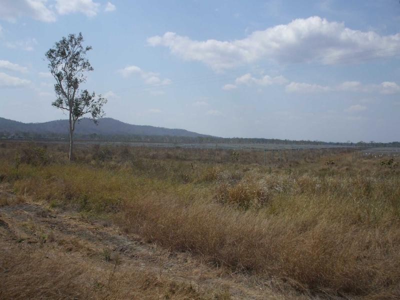 Majors Creek QLD 4816