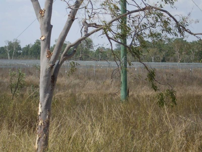 Majors Creek QLD 4816