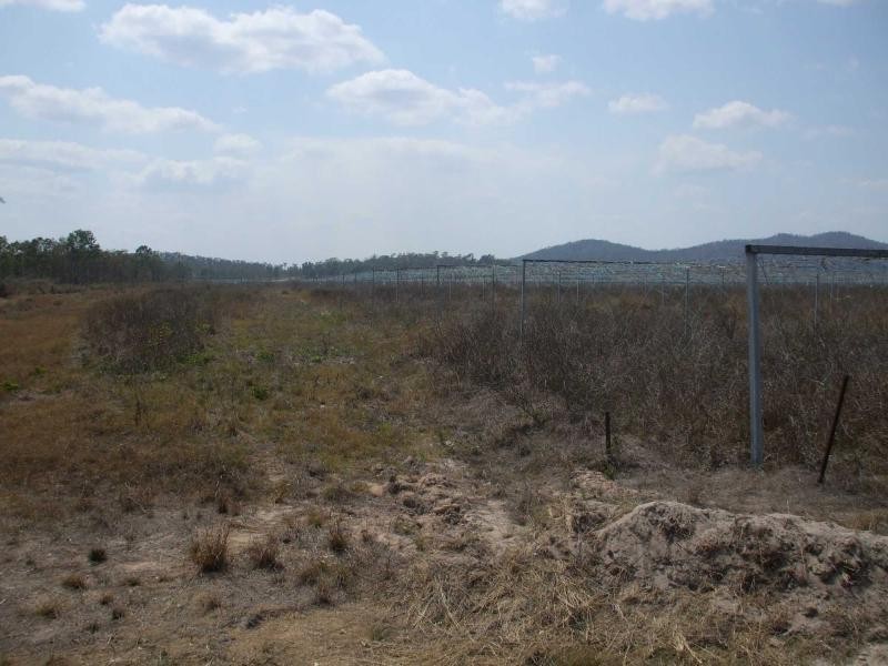 Majors Creek QLD 4816