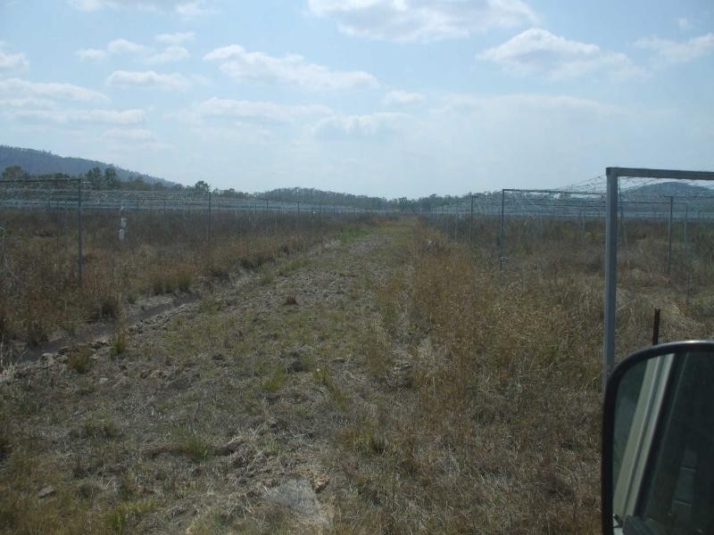Majors Creek QLD 4816