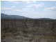 Majors Creek QLD 4816