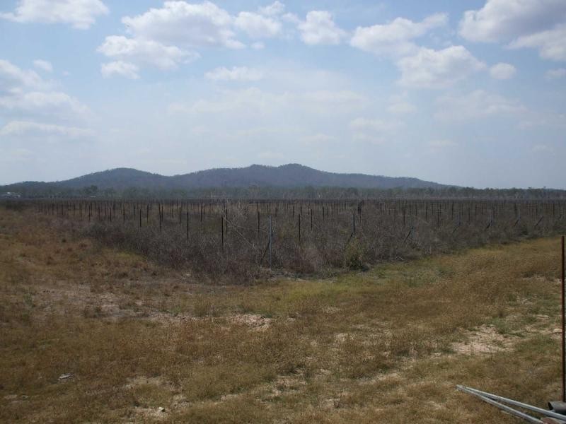 Majors Creek QLD 4816