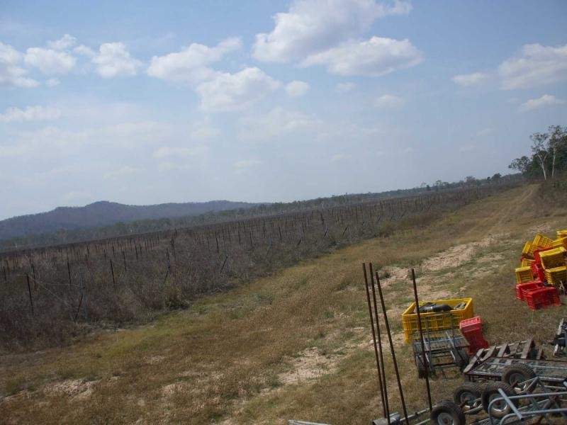 Majors Creek QLD 4816